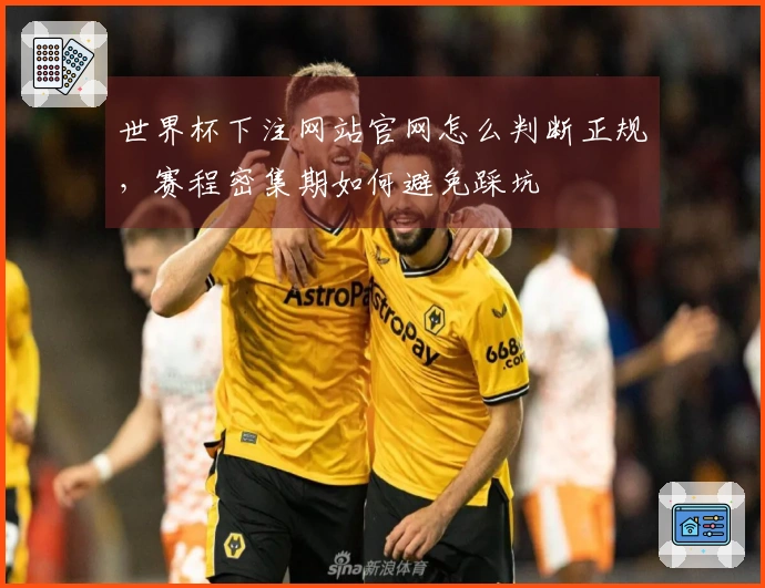 世界杯下注网站官网怎么判断正规，赛程密集期如何避免踩坑