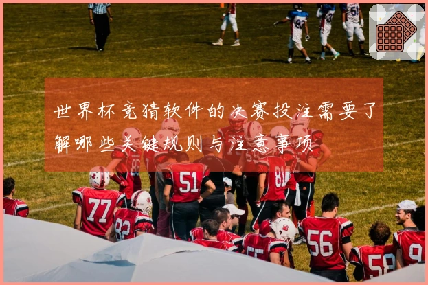 世界杯竞猜软件的决赛投注需要了解哪些关键规则与注意事项