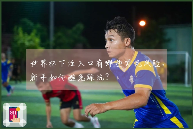 世界杯下注入口有哪些常见风险，新手如何避免踩坑？