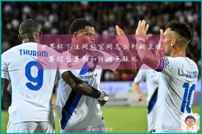 开云体育资讯图