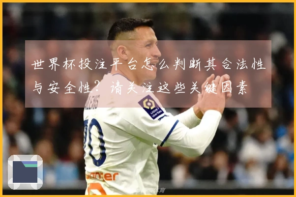 开云体育资讯图