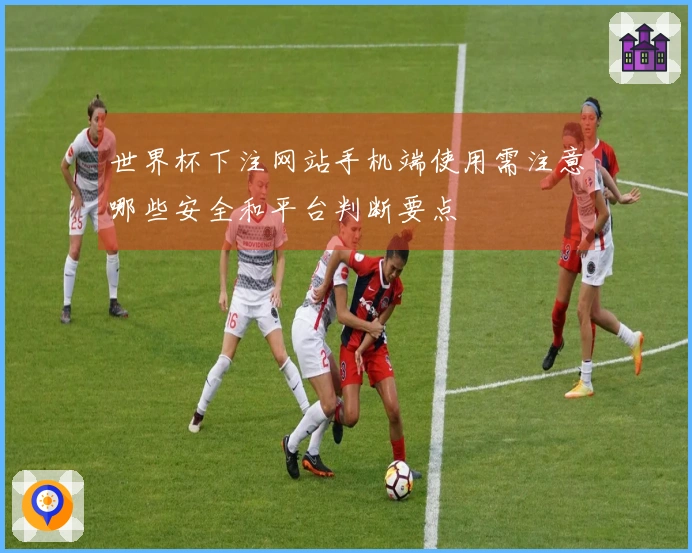 开云体育资讯图