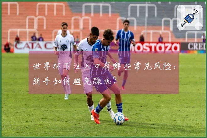 世界杯下注入口有哪些常见风险，新手如何避免踩坑？