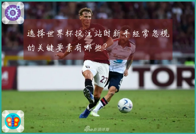 选择世界杯投注站时新手经常忽视的关键要素有哪些？